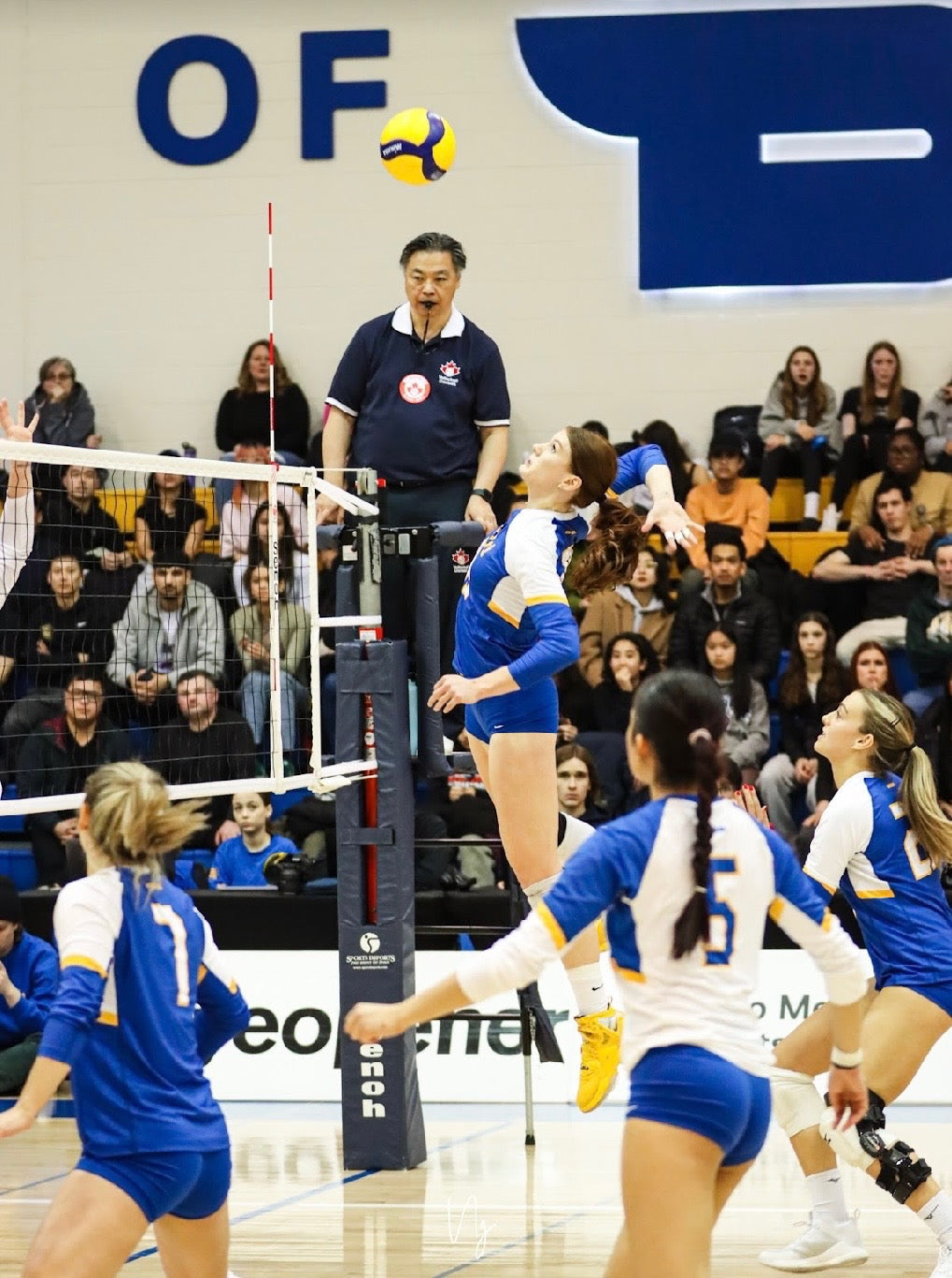 Private Middle Blocker, Outside Attacker & All-Around Volleyball Training With Ashley Ditchfield At Providence Christian School