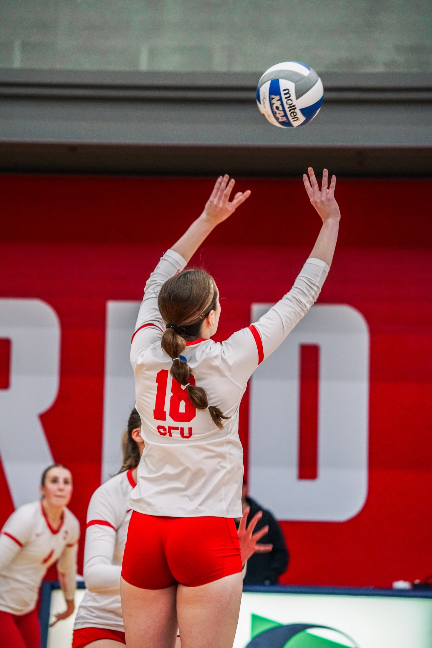 Private Volleyball Setter & All-Around Training With Ella McVittie